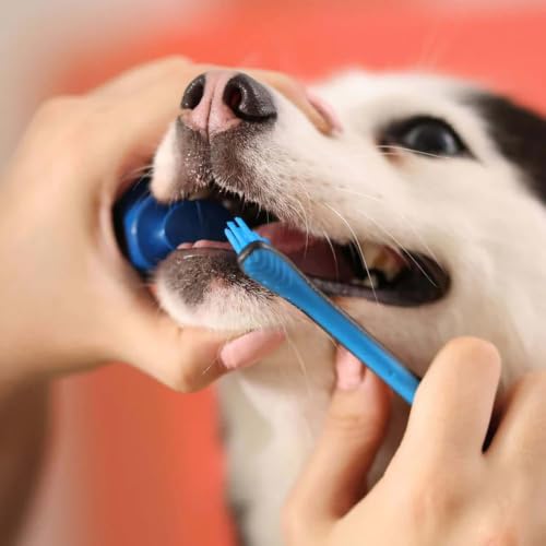 犬 バイトブロック 犬用 歯磨きアシスタント シリコーン 指サック 丈夫 歯みがき補助 洗える 軽量 安全 ペット用歯磨きアシスタント 小型 中型 大型犬 (オレンジ,1個)の特徴・詳細 画像