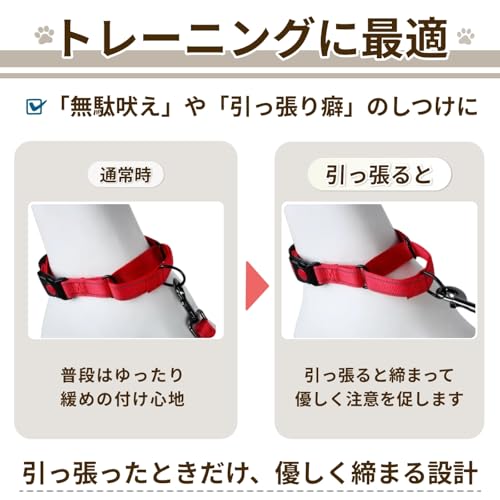Letics 犬 首輪 ハーフチョーク しつけ 引っ張り防止 小型犬 中型犬 むだ吠え防止 バックル (ブラック, S)の特徴・詳細 画像