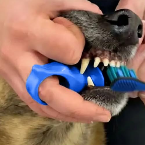 犬 バイトブロック 犬用 歯磨きアシスタント シリコーン 指サック 丈夫 歯みがき補助 洗える 軽量 安全 ペット用歯磨きアシスタント 小型 中型 大型犬 (オレンジ,1個)の特徴・詳細 画像