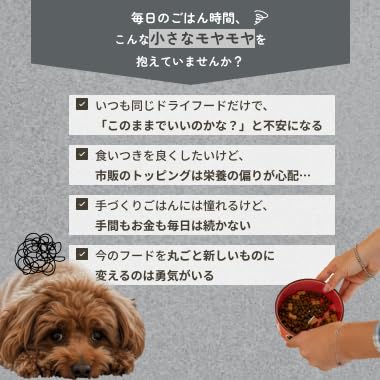 ココモグ レトルト ドッグフード ウェットフード 災害 備蓄 旅行 お出かけ 常温保存 無添加 手作り 獣医師監修 総合栄養食 グレインフリー (40g×4袋, 4種バラエティ)の特徴・詳細 画像