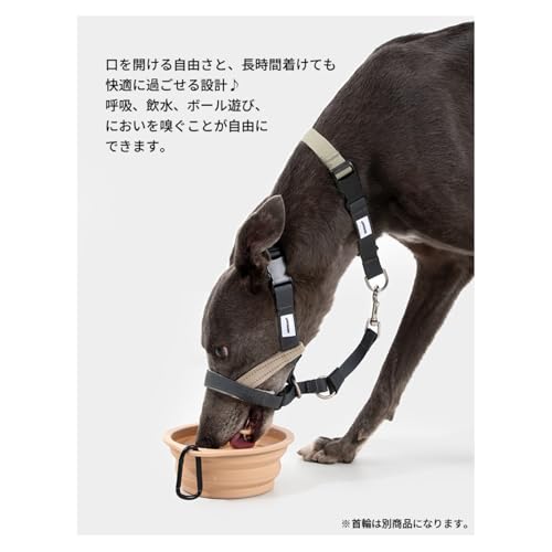 引っ張り防止 ヘッドカラー ジェントルリーダー 首輪接続ストラップ付き S M L 小型犬 中型犬 大型犬 トレーニング 問題行動 拾い食い 飛びつき マズル装着 コントロール 散歩 便利アイテム 安全 安心 【HD029012】 (Sサイズ)の特徴・詳細 画像