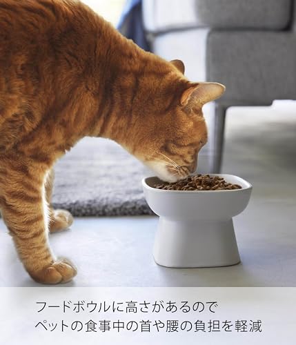 山崎実業(Yamazaki) 食べやすい高さ 陶器 ペットフードボウル ホワイト 約W11×D11×H8cm タワー tower エサ入れ 水入れ 食洗機対応 電子レンジ対応 1779の特徴・詳細 画像