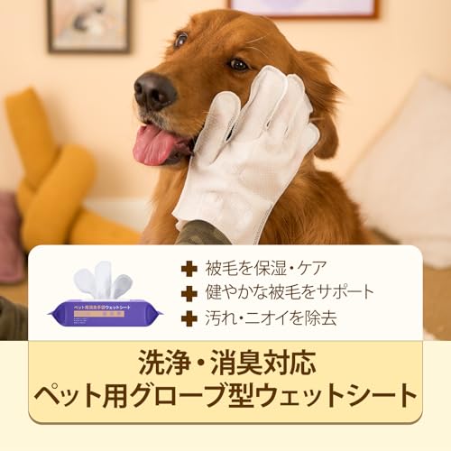 HICC PET ペット用消臭手袋ウェットシート 手袋型 犬 猫用 手にはめてなでるだけ簡単ケア 汚れ拭き取り・消臭 厚手シート 舐めても安心 被毛ケア 介護にも ココナッツの香り 20枚入 (ココナッツの香り)の特徴・詳細 画像