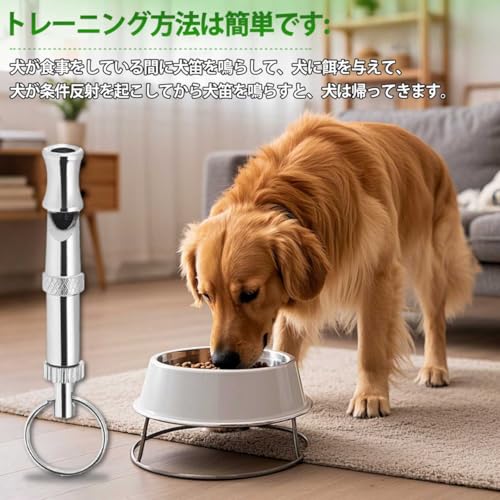 Kazeori 犬笛 犬 猫 訓練 トレーニング 無駄吠え防止ツール 調整可能な音ピッチ犬笛 ミニ 安全 ペット用品 トレーニング 音響ホイッスル 携帯に便利 親睦を深める 敏感な犬のためのクリアな音 シルバーの特徴・詳細 画像
