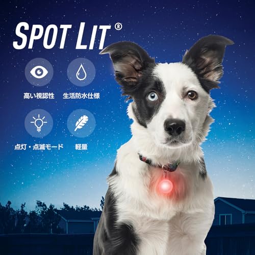 NITEIZE(ナイトアイズ) スポットリット レッド SLG-06-10 (日本正規品)の詳細・まとめ 画像