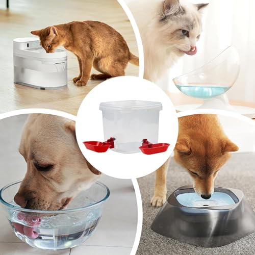 自動猫用給水器,3リットル 大容量ボウル | 猫用 循環式 ウォーターディスペンサー,室内 寝室 リビング バルコニー オフィス アパートに最適の特徴・詳細 画像