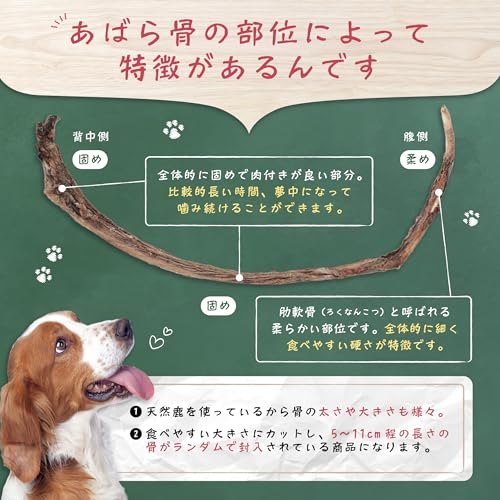 [やまのごちそう] 犬 子犬 おやつ 国産 無添加 鹿 あばら 骨 ジャーキー ガム 歯磨き 長持ち ストレス スペアリブ 30gの特徴・詳細 画像