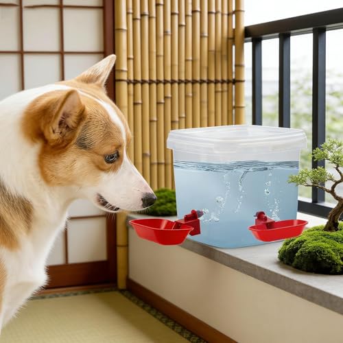 自動猫用給水器,3リットル 大容量ボウル | 猫用 循環式 ウォーターディスペンサー,室内 寝室 リビング バルコニー オフィス アパートに最適の特徴・詳細 画像