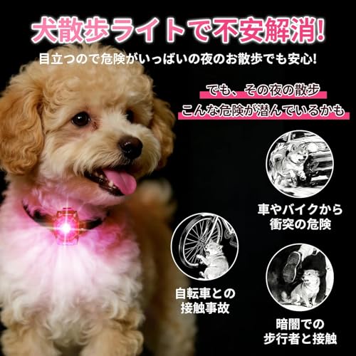 LaRoo ペットライト 夜間散歩用 高輝度 発光首輪ライト Type-C 充電式 防水 軽量 コンパクト サイズ調整可能 超小型犬～大型犬・猫対応 安全対策 ペット用品 (ピンク)の特徴・詳細 画像