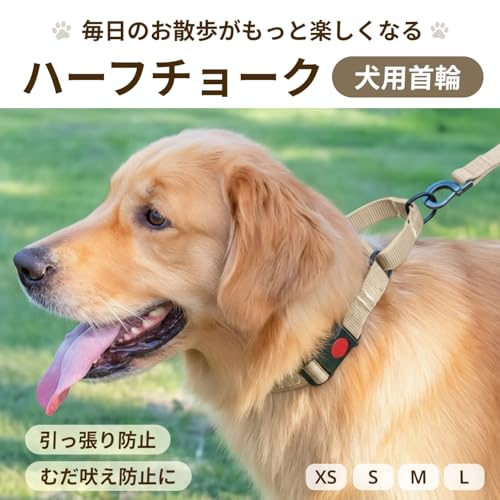 Letics 犬 首輪 ハーフチョーク しつけ 引っ張り防止 小型犬 中型犬 むだ吠え防止 バックル (ブラック, S)の詳細・まとめ 画像