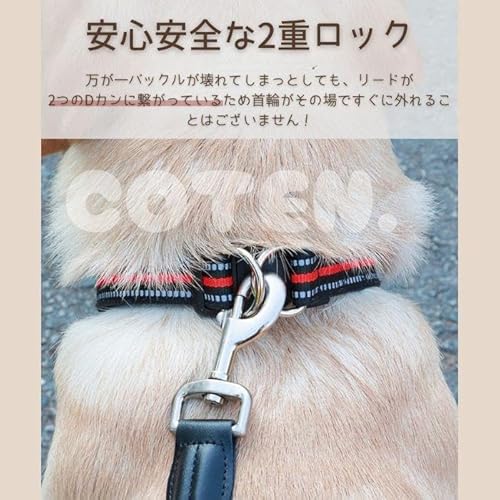 犬用 首輪 ダブルリング 軽量 丈夫 中型犬 大型犬 おしゃれ かわいい 安全設計 反射素材 トレーニング対応 耐久ナイロン 季節別デザイン ギフトにも最適 COTEN (ブルー, L(首回り35-60cm、幅2.5cm))の特徴・詳細 画像
