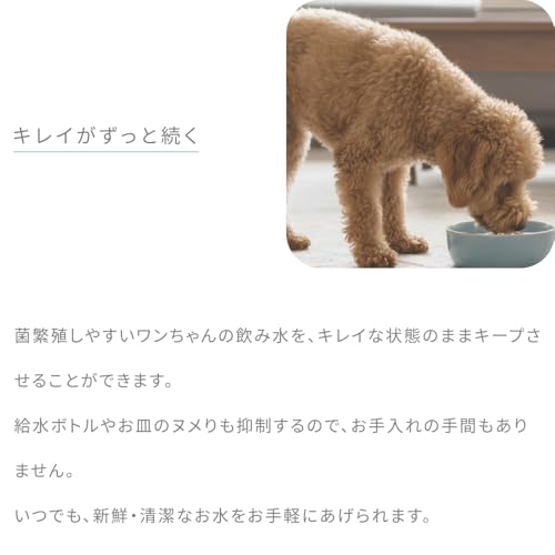 セラスト ビーミーニー bee mee nee 25グラム (x 1)の特徴・詳細 画像