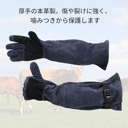 猫用噛み防止グローブ 長さ60センチの引っ掻き防止保護手袋 爬虫類 蛇 鳥 家畜 犬のグルーミング用 動物取り扱い グルーミング 捕獲 保護具 ロングスリーブの特徴・詳細 画像