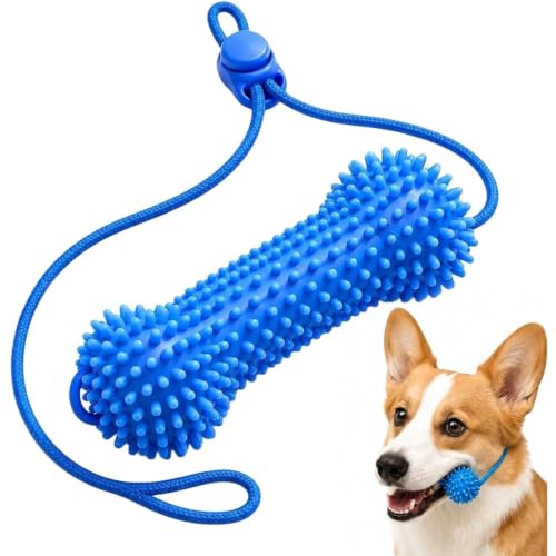 犬 おもちゃ 歯磨き 犬用噛むおもちゃ ストラップ付き 口を開ける 餌入れ 口臭予防 調整可能 天然ゴム 耐久性 遊び道具 小型犬 中型犬 大型犬 (ブルー) 1
