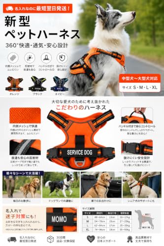 名入れ 犬 ハーネス 中型犬 大型犬 タフ ハーネス 抜けない 胴輪 オリジナル ネームタグ おしゃれ 簡単装着 ネイビーブルー | Inuya Plus (ブルー×ライトブルー, Mサイズ)の詳細・まとめ 画像