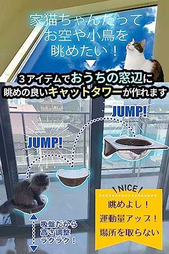 POOKIE 猫 窓 ハンモック スケルトン 窓ベッド ミニ ステップ キャットタワー 吸盤 取り付け【3点セット】の詳細・まとめ 画像