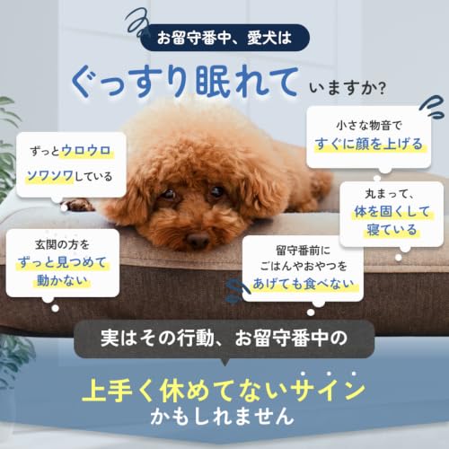 こもりね ドッグフード ドライフード 獣医師監修 ペット栄養管理士 小型犬 中型犬 シニア 総合栄養食 ご飯 どっぐふーど 睡眠 お留守番 チキン 200gの特徴・詳細 画像