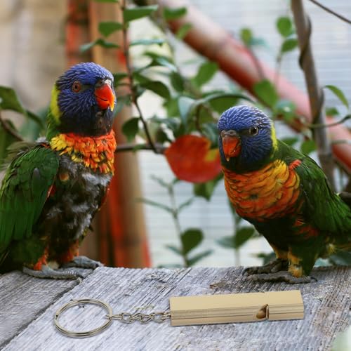 HOLIDYOYO 多目的鳩笛 アルミニウム合金製 軽量持ち運び便利な鳩の訓練用ホイッスル 鳥の訓練や鳩のトレーニングに最適なアクセサリー 2個セットの特徴・詳細 画像
