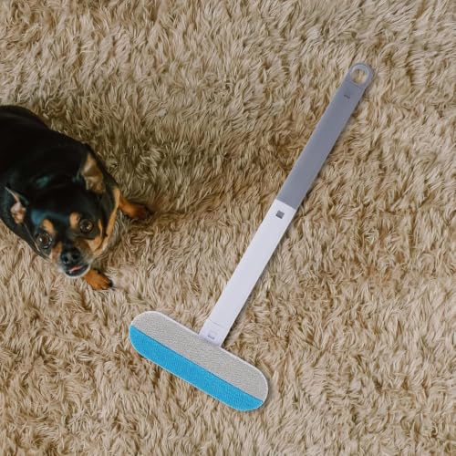 犬の毛取りブラシ ペット用効率的な脱毛剤 ABS素材 軽量コンパクト 自宅使える 犬猫兼用カーペット用毛取りグッズの特徴・詳細 画像