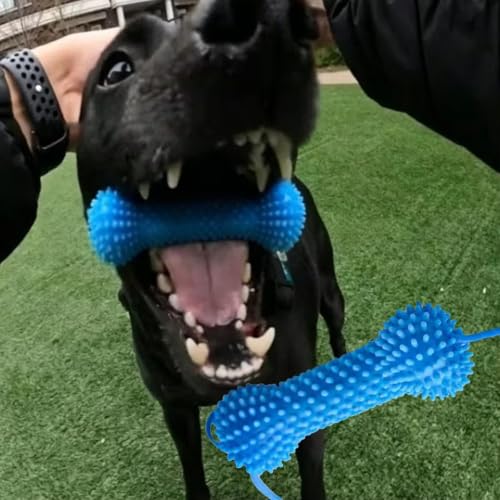 犬 おもちゃ 歯磨き 犬用噛むおもちゃ ストラップ付き 口を開ける 餌入れ 口臭予防 調整可能 天然ゴム 耐久性 遊び道具 小型犬 中型犬 大型犬 (ブルー)の特徴・詳細 画像