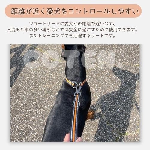 犬 ショートリード ロック付き 丈夫 安全 しつけ 訓練 引っ張り防止 散歩用 短いリード 小型犬 中型犬 大型犬 ナイロン 調節機能 耐久性 COTEN (ブルー, 32cm)の特徴・詳細 画像