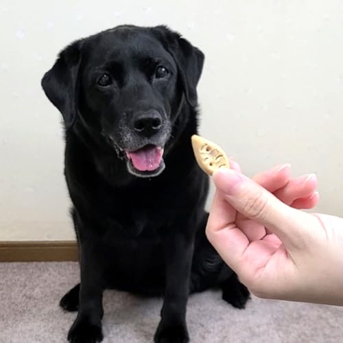 ペティオ (Petio) 余計なものは入れない さつまいも入り ビスケット サクサクタイプ 340g (× 2)の詳細・まとめ 画像