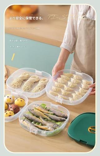 Arnxian 餃子保存容器 多層式 冷凍保存 電子レンジ対応 密閉蓋 日付記録機能付き 重ね収納 手提げ付き 食材整理 (ラグジュアリーグリーン - 5層(PP))の詳細・まとめ 画像