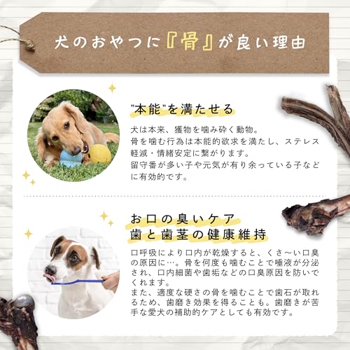 [やまのごちそう] 犬 大型犬 中型犬 おやつ 国産 無添加 鹿 足 骨 ジャーキー 極太 ガム 歯磨き 長持ち ストレス 4本の特徴・詳細 画像