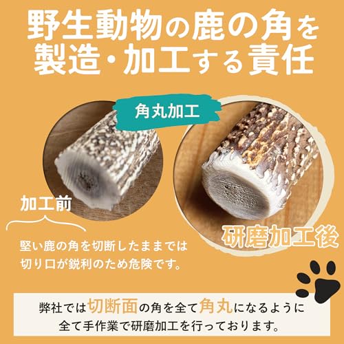 モノライフ 鹿の角 犬 噛むおもちゃ 無添加 おやつ 噛む 犬用 おもちゃ エゾジカ 国産 鹿 角 ガム 歯磨き デンタルケア 中型犬 15cmの特徴・詳細 画像