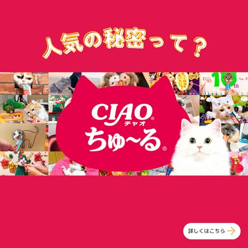 チャオ (CIAO) ちゅ~るグルメ バラエティ 60本 猫用おやつの詳細・まとめ 画像