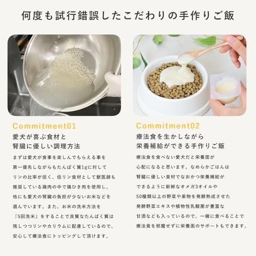帝塚山ハウンドカム 犬 冷凍 ドッグフード 【 療法食 に トッピング 】療法食サポート 腎臓ケア なめらかごはん 1袋 (約44g×6個) 無添加 国内製造 食べない悩み ペースト 手作りご飯 低リン 低脂肪 低ナトリウム 低カリウム 低たんぱく質 膵炎の特徴・詳細 画像