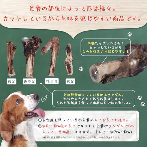 [やまのごちそう] 犬 大型犬 中型犬 おやつ 国産 無添加 鹿 足 骨 ジャーキー 極太 ガム 歯磨き 長持ち ストレス 4本の特徴・詳細 画像
