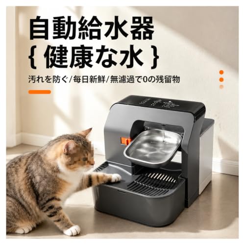 Luulife 傾斜式ペット給水器 3タンク分離 3200ml フィルター不要 Type-C充電 (ブラック,通常版)の詳細・まとめ 画像