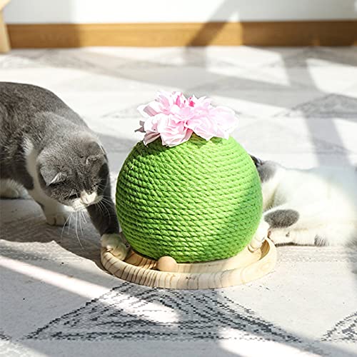 NancyMissY サボテンのおもちゃ サボテンの形 猫のスクラッチャー サークルトラック 移動ボール付き 猫のおもちゃ ペットのおもちゃの特徴・詳細 画像