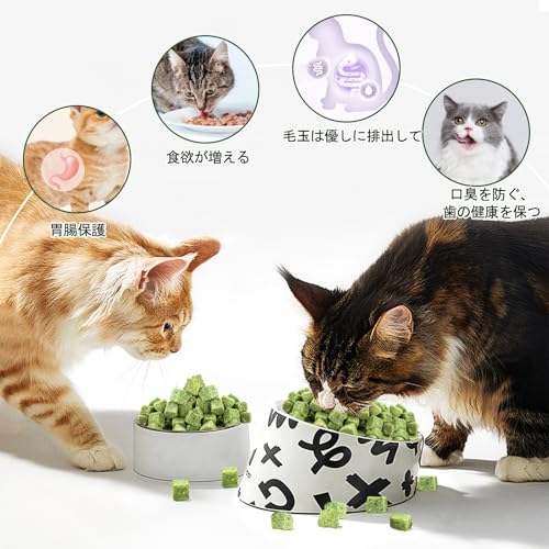 Petllgood 猫草スナック 60g 乾燥猫草スナック 100%天然成分 無添加 無着色 歯ぎしり棒 毛玉排出 健康ケア ストレス解消 栄養補助 食欲増えす 元気維持 猫 えさ おやつ 間食の詳細・まとめ 画像